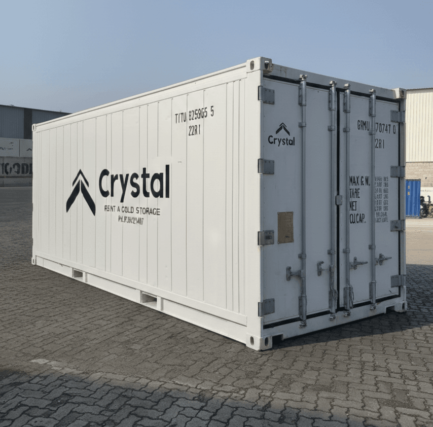 20 ft reefer container
